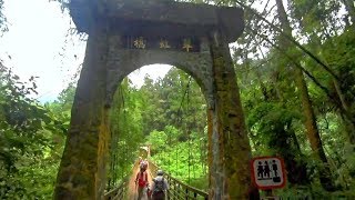 溪頭一日遊溪頭自然教育園區大學池步道XITOU Nature ...