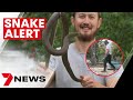 Snake hunter ends up in hospital after a backyard close call  7news