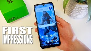 Details Cricket Icon Plus - First Impressions Update