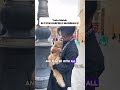 Cats of Mecca at Masjid al-Haram 🐈🕋