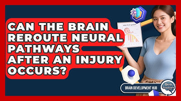 Can The Brain Reroute Neural Pathways After An Injury Occurs? - Brain Development Hub