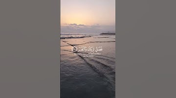 #سورة_الكوثر #بلال_دربالي #القرآن_الكريم #viral #viralvideo #beautiful #اكسبلور #لايك #راحة_نفسية