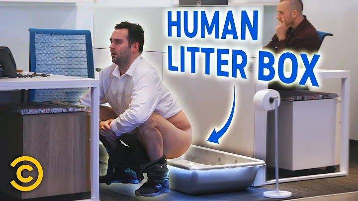 This Office Has Human Litter Boxes for Employees – Mini-Mocks - DayDayNews