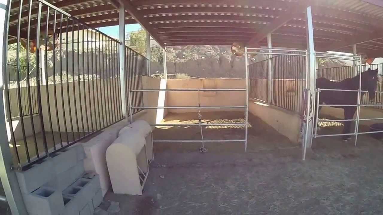 Lake Havasu Equestrian Home for Sale YouTube