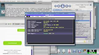 HWiNFO for DOS v6.2.2 (2022) Martin Malík, REALiX /AmigaOne X1000\  {DOSBox SVN}
