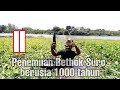 Penemuan Bethok Suro 1000 Tahun dari Sungai Brantas |feat. Kebo Marcuet|