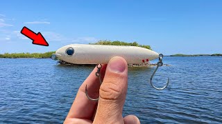 I CAUGHT *THIS* While Topwater Fishing for Snook!!! (Biggest of the Year) | FloridaMan Fishing