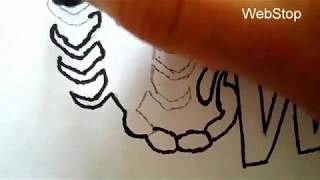Webstop Logo And Picture - Webstop Instagram, Facebook, Youtube