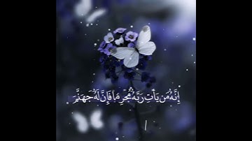 سورة طه - القارئ صلاح بو خاطر أجمل تلاوة حالات واتس اب Quran