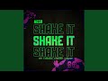 MEGA SHAKE IT