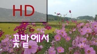 Video thumbnail of "조관우 - 꽃밭에서"