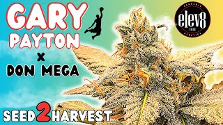 GARY PAYTON x DON MEGA 🔥 Seed to Harvest Documentary in 4K