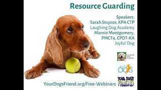 Resource Guarding – how to help the dog who doesn’t share 62522