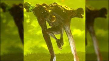 Fallout 1st Subscribers Are Being Bullied By Other Players