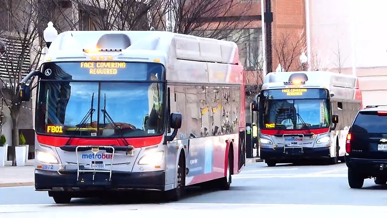 WMATA Metrobus: 2016 & 2018 New Flyer XN40s at Ballston Station