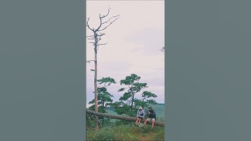 อุทยานแห่งชาติภูสอยดาว จ.อุตรดิตถ์ #เดินป่า #ไปไหนดี #หาทริปเดินป่า #เดินป่าไทย