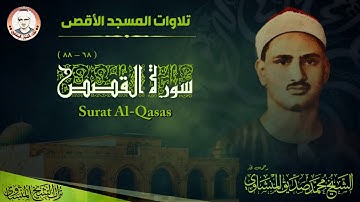 التلاوة الاسطورية التي بحث عنها الكثير |  القصص من  المسجد الأقصى  | الشيخ محمد صديق المنشاوي