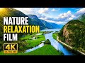 Nature Relaxation Film 4K🏞🫠🌎