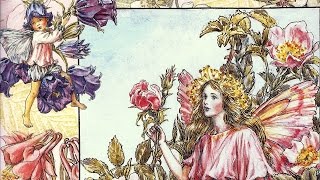 Flower Fairies - Cicely Mary Barker