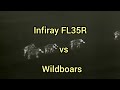 Infiray FL35 R vs Wildboars