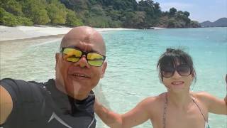 Highlight : Sea dragon : Lord Loughborough island