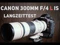 Review - Canon EF 300mm f/4 L IS USM (Langzeittest)