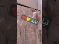 اسم تبارك 