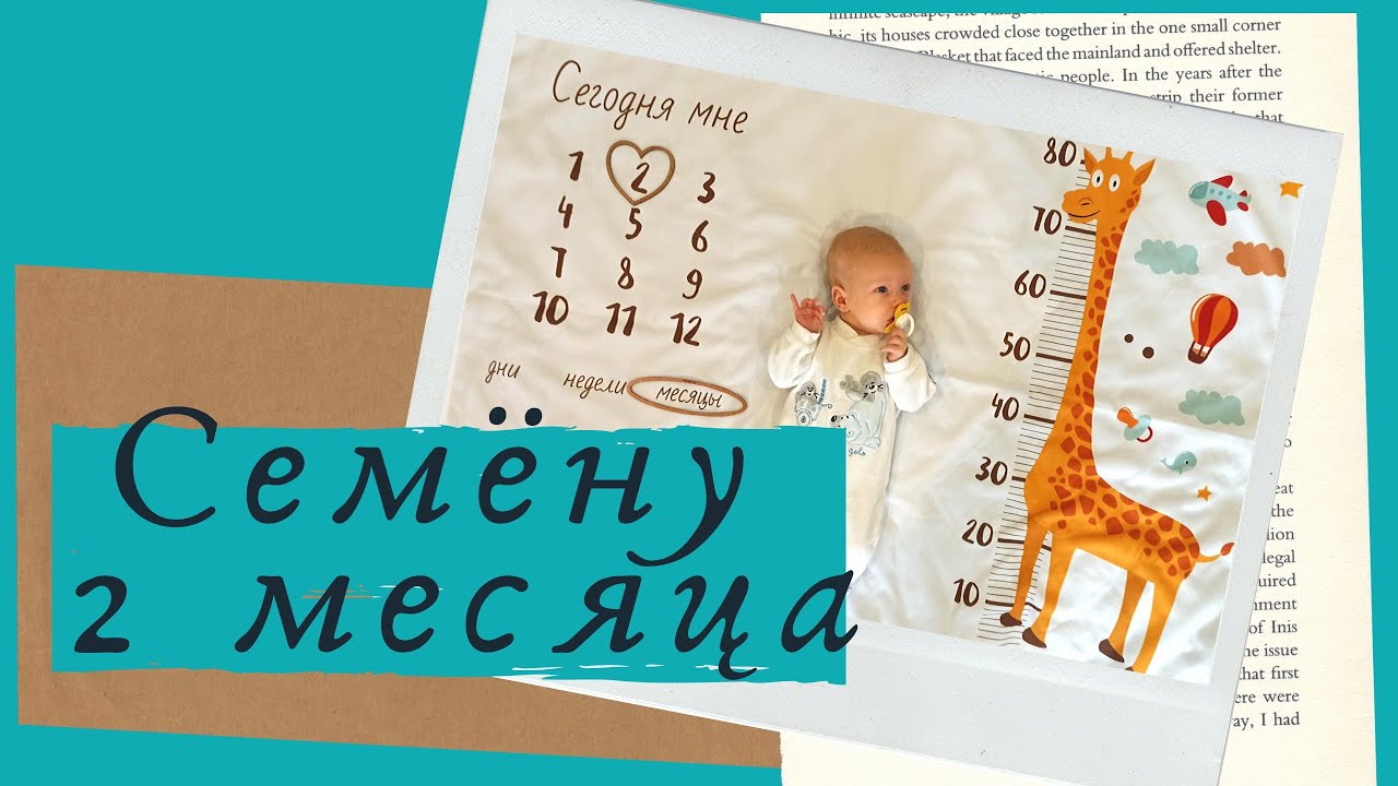 Осаго на 2 месяца