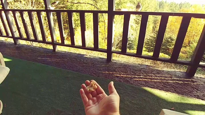 Had her eating from the palm of my hand.