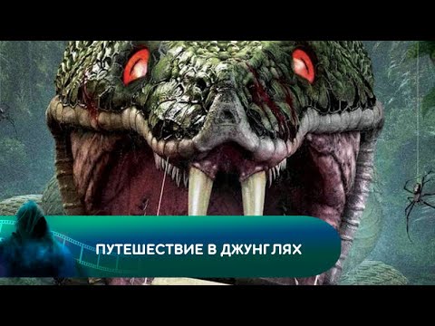 Video: Корнелия Паркер тарабынан орнотулган тоңдурулган жардыруулар