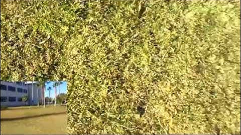 F450 first crash kk2.0 board