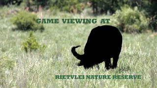 Game Viewing at Rietvlei Nature Reserve