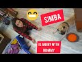 I Left Simba And Now He Is Angry 🤷‍♀️ | Upset Pug Reaction 😶