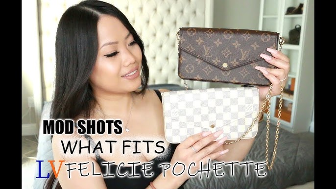 Authentic Brand New Louis Vuitton Limited Edition Felicie Pochette Dam –  Ximena's Luxe Couture