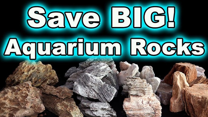 How Prepare Rocks For Aquarium or Fish Tank – Micro Aquatic Shop