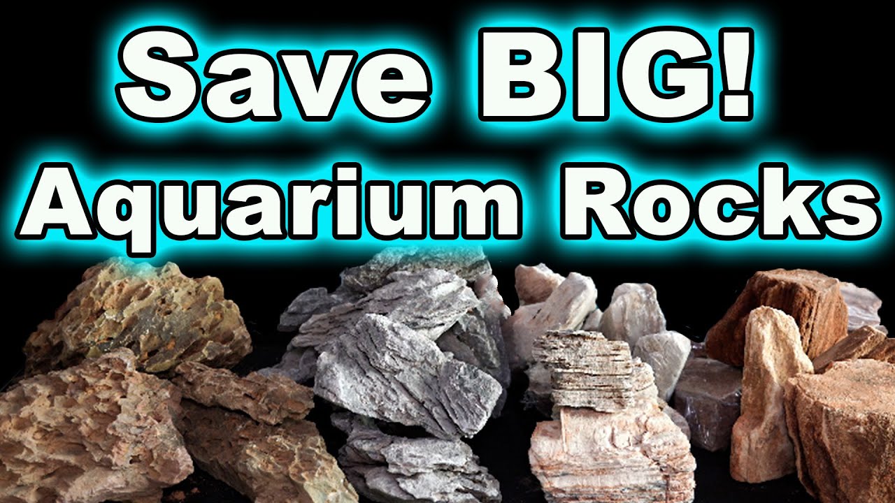 You are Going to SAVE HUGE MONEY on Aquarium Rocks!! Little Known Secret  Revealed! 