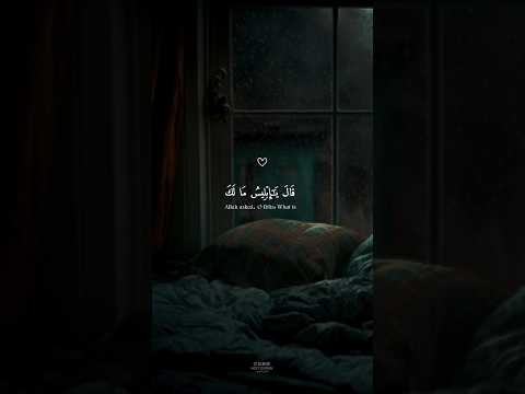 قال يا إبليس مالك الا تكون مع الساجدين كروما خلفية سوداء هزاع البلوشي قران شاشة سوداء قرآن