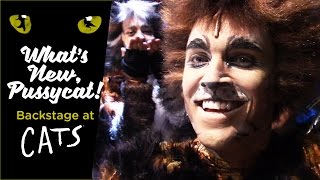 Episode 6  What's New, Pussycat? Backstage at CATS with Tyler Hanes