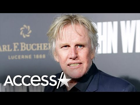 Gary Busey Charged With Criminal Sexual Contact