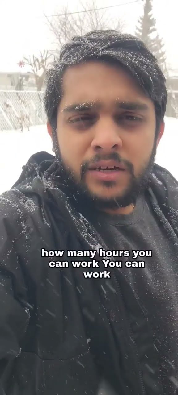 How Many Hours International Students Can Work In Reading Week Or Break How Many Hours International Students Can Work In Reading Week Or Break