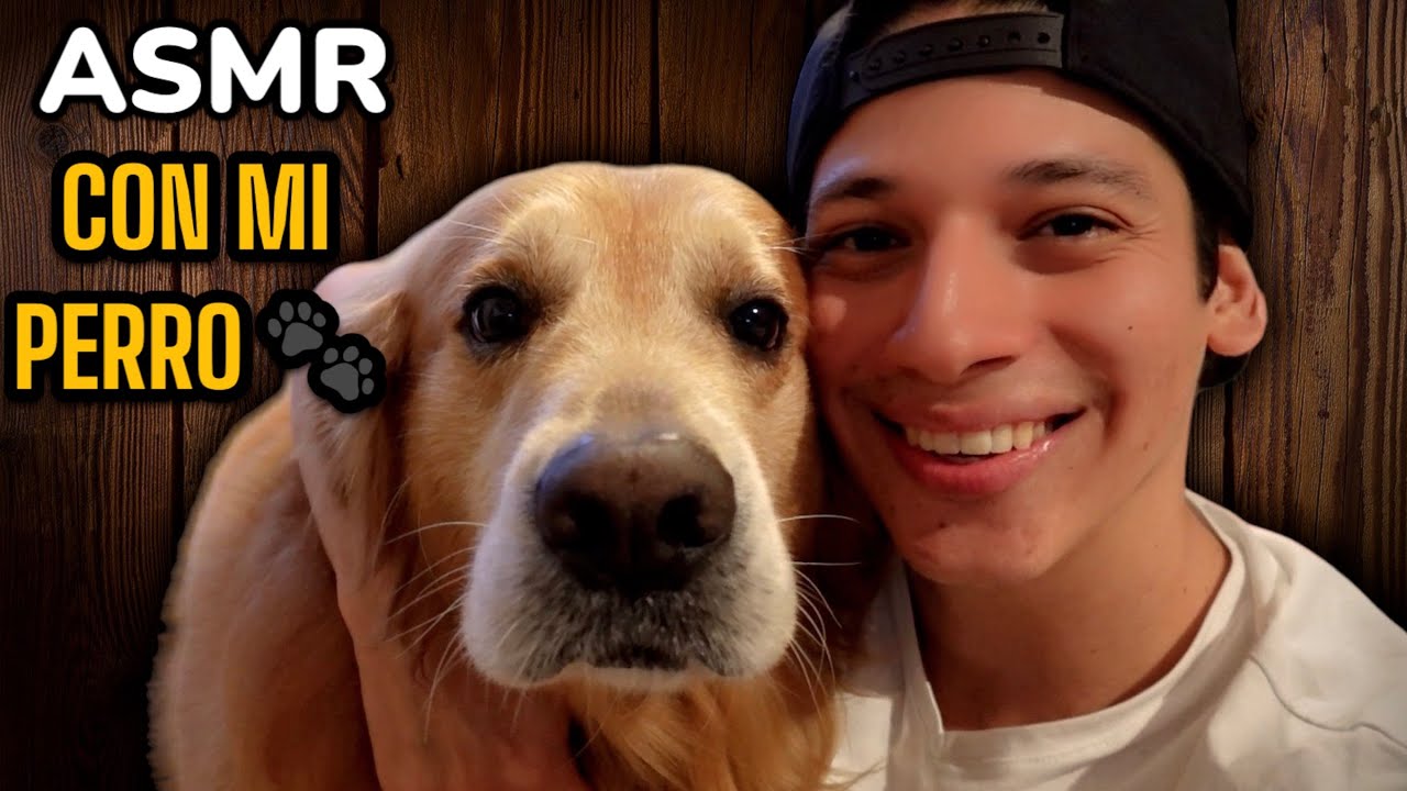 ASMR CASERO con OSO (mi perro) ️🐾 - YouTube