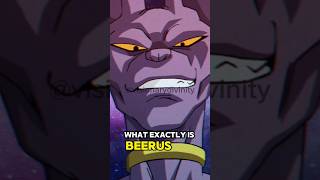 What IS Beerus?