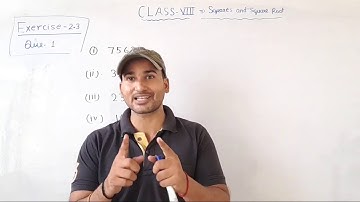 Class 8 || Exercise 2.4 || Squares And Square Root ||