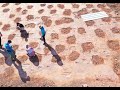 Scientists discover more than 240 dinosaur footprints in east China| CCTV English
