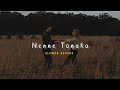 Nenne tanaka ( slowed +reverb ) soul vibezz