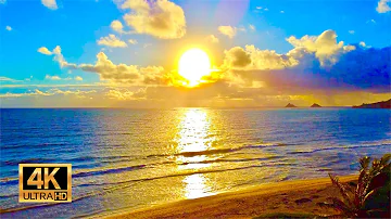 Sunrise from Kailua Beach in Oahu Hawaii | 12 Hours of Beach Sunrise + Ocean Waves