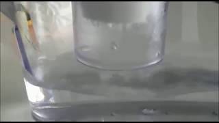 Issue On Novita Pitcher After Replacing Novita HydroPlus Filter NP3290/NP2290/1190 Filter Pack