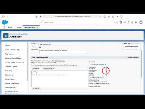 Salesforce Validation Rule to Enforce Numeric Only Entry into a Text Field