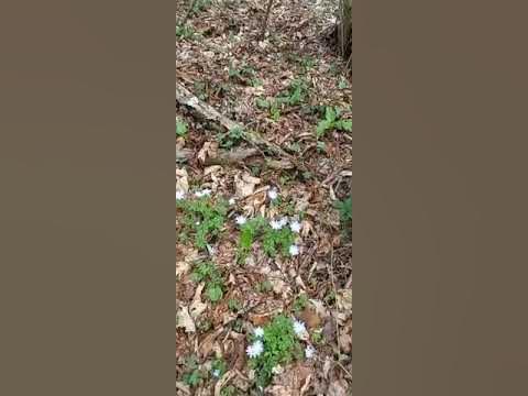 Красота природы - YouTube