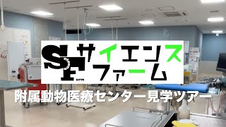 酪農学園大学動物医療センター見学ツアー（サイエンスファーム）